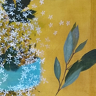 Rosamund Christison, Roz Christison, artist, painter, Connecticut, nature, bees, studio shows, garden, UCONN alumni, printmaking, printmaker, Connecticut Printmaker, studio visit, Connecticut painter, print show, painting show