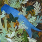 Rosamund Christison, Roz Christison, artist, painter, Connecticut, nature, bees, studio shows, garden, UCONN alumni, printmaking, printmaker, Connecticut Printmaker, studio visit, Connecticut painter, print show, painting show